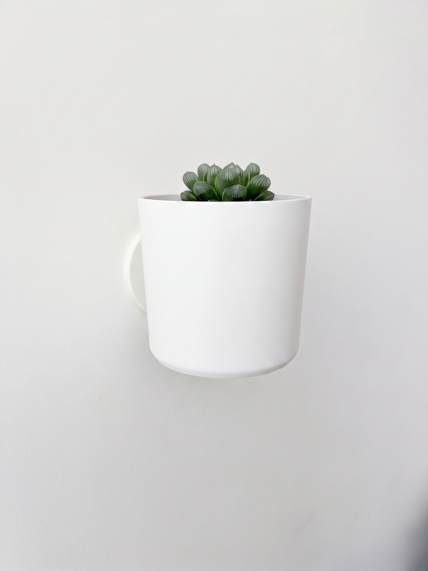 Macetero de Muro Liso M – Diseño Minimalista