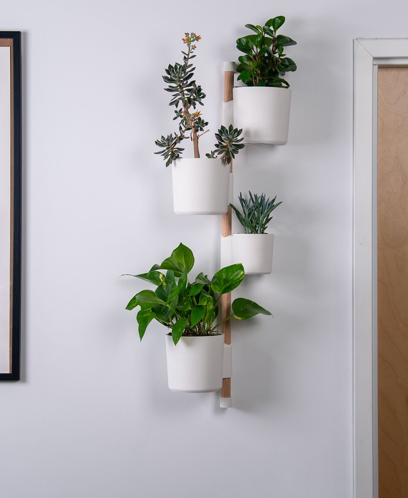 Wall Garden Zarka – Barra de Jardín con 4 Maceteros