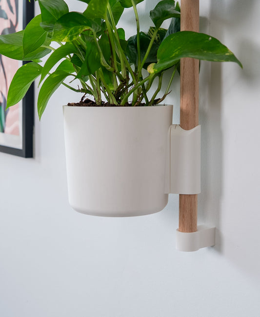 Macetero de Muro Liso M – Diseño Minimalista