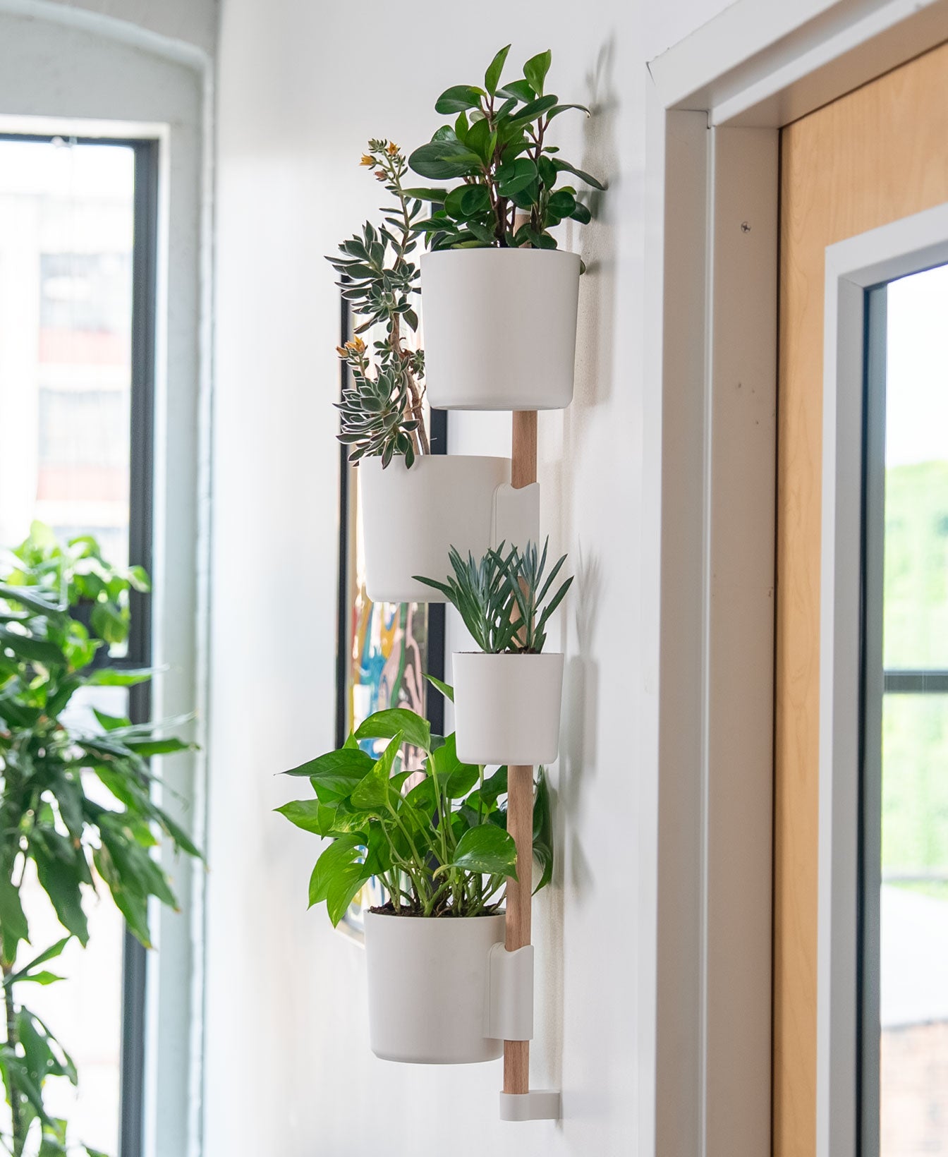 Wall Garden Zarka – Barra de Jardín con 4 Maceteros
