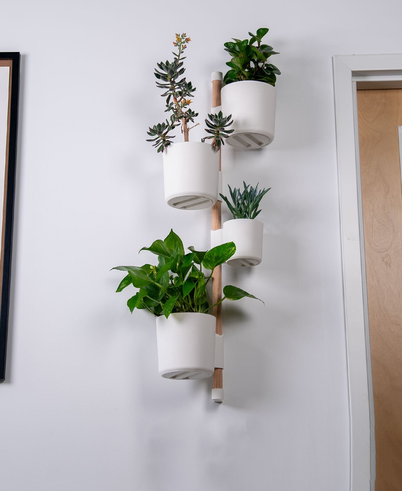 Wall Garden Zarka – Barra de Jardín con 4 Maceteros